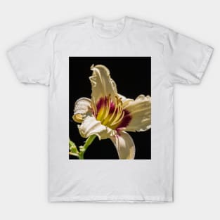 Daylilly Close-up 9 T-Shirt